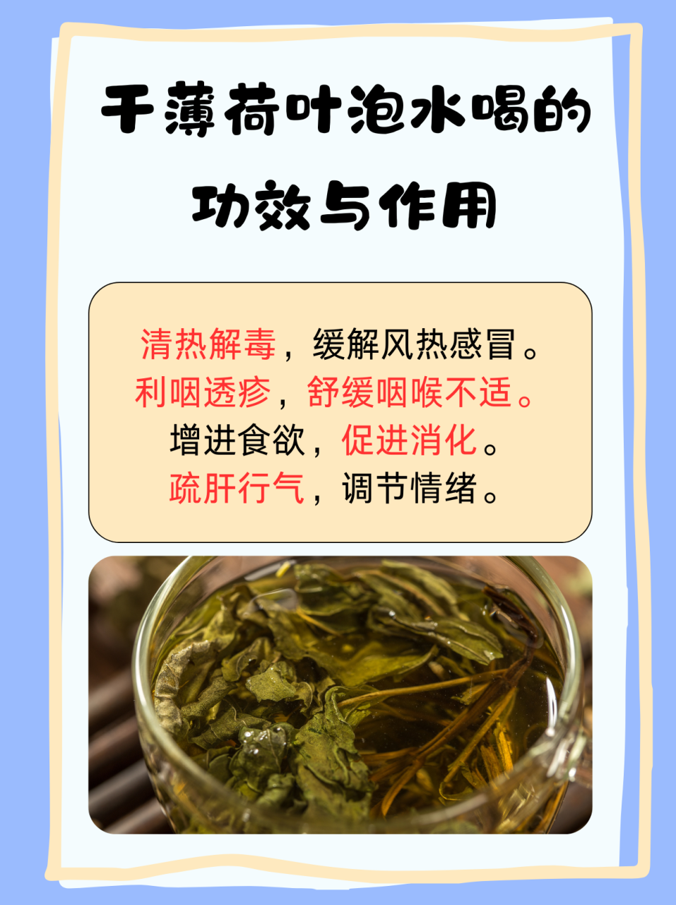 如何选择和保存薄荷?