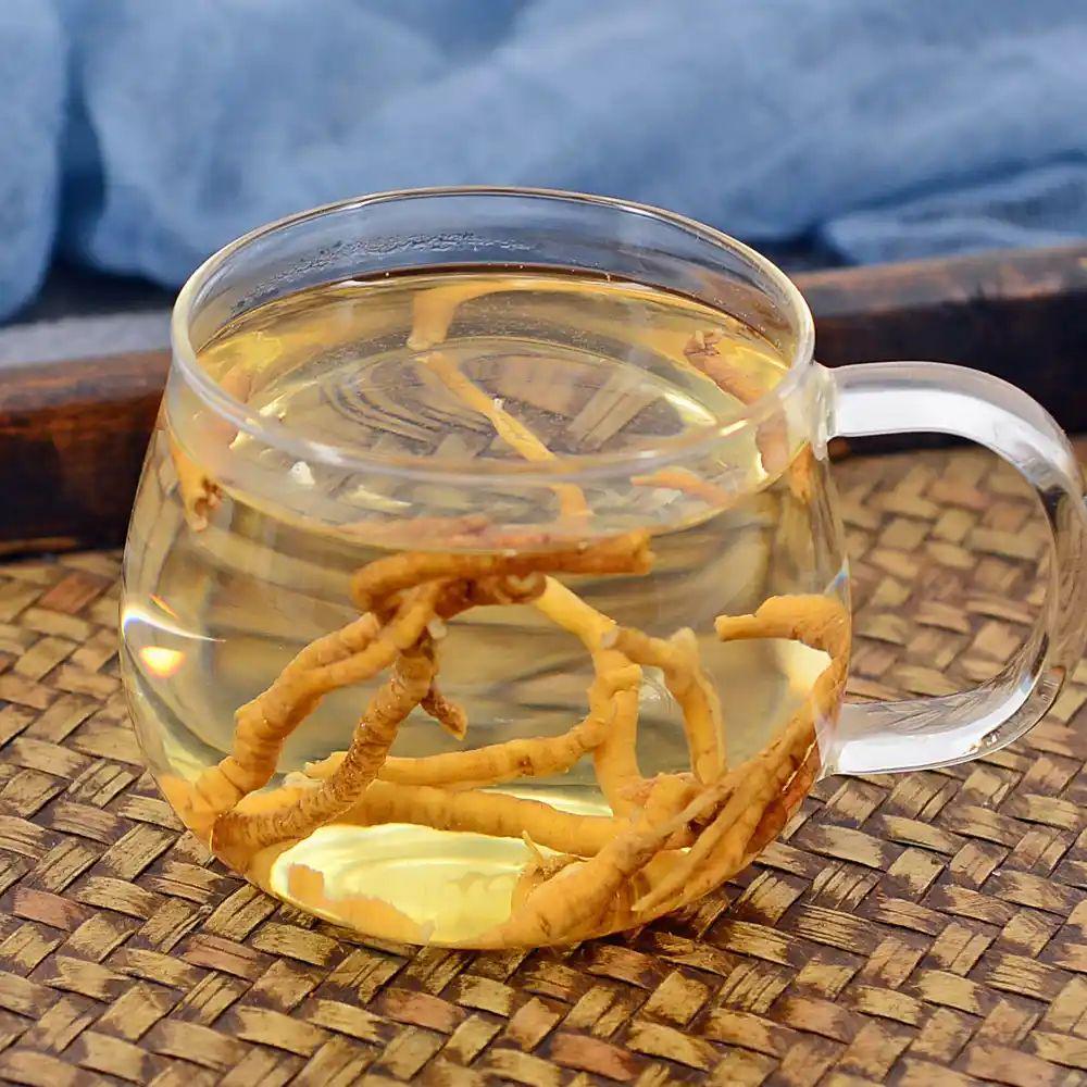 喝远志水的注意事项