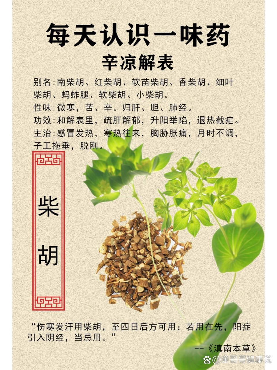 传统智慧,现代健康的选择