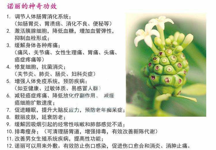 自然的力量值得信赖