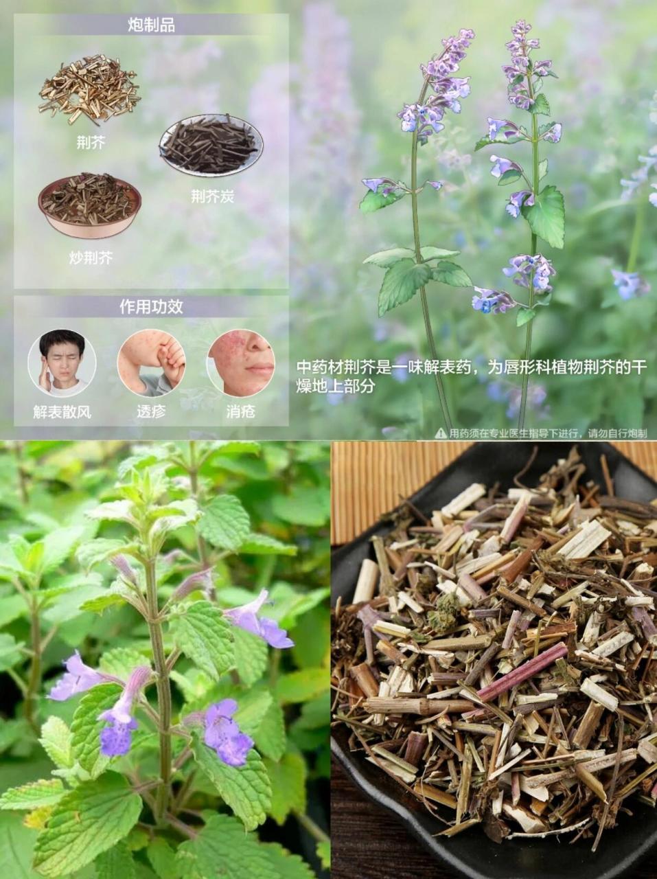 疏风散寒,改善呼吸道问题