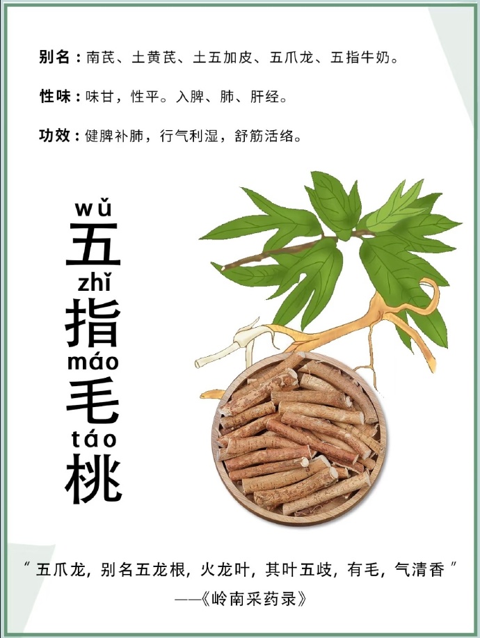 自然的力量，健康的守护