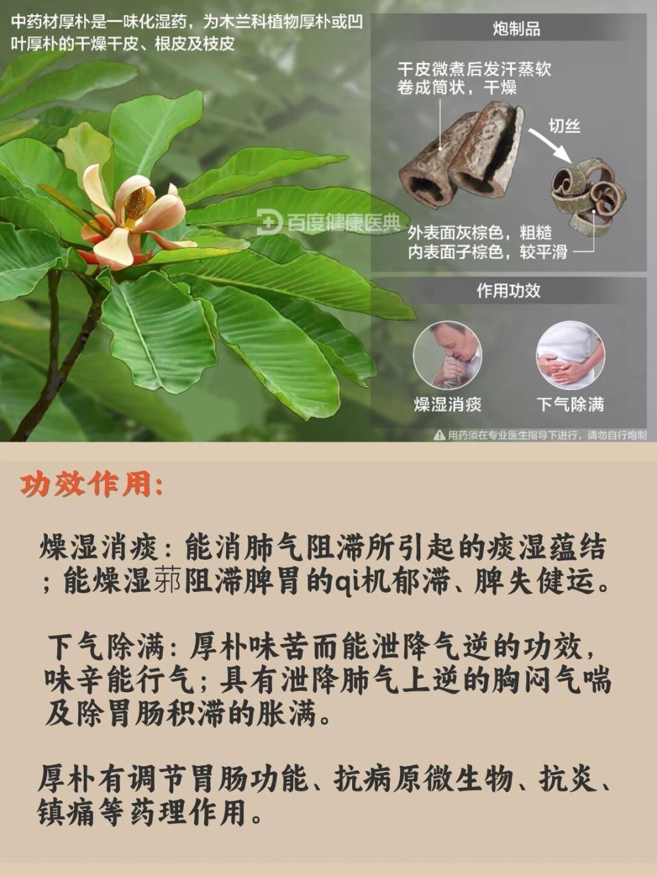 抗炎与抗菌作用