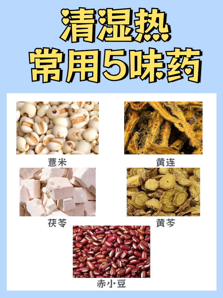 抗炎抗菌,增强免疫力