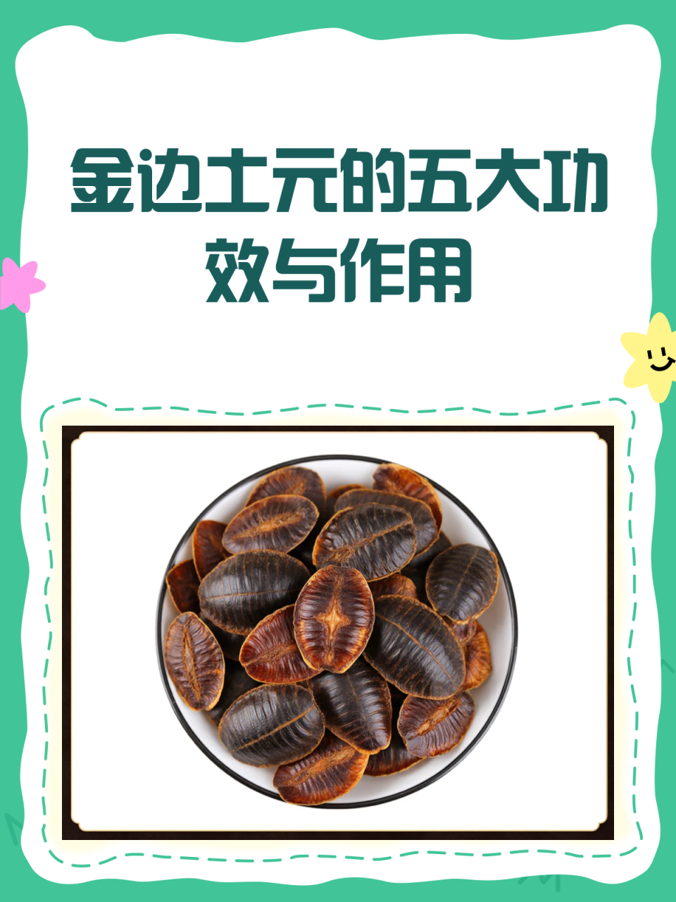 土元对健康的益处