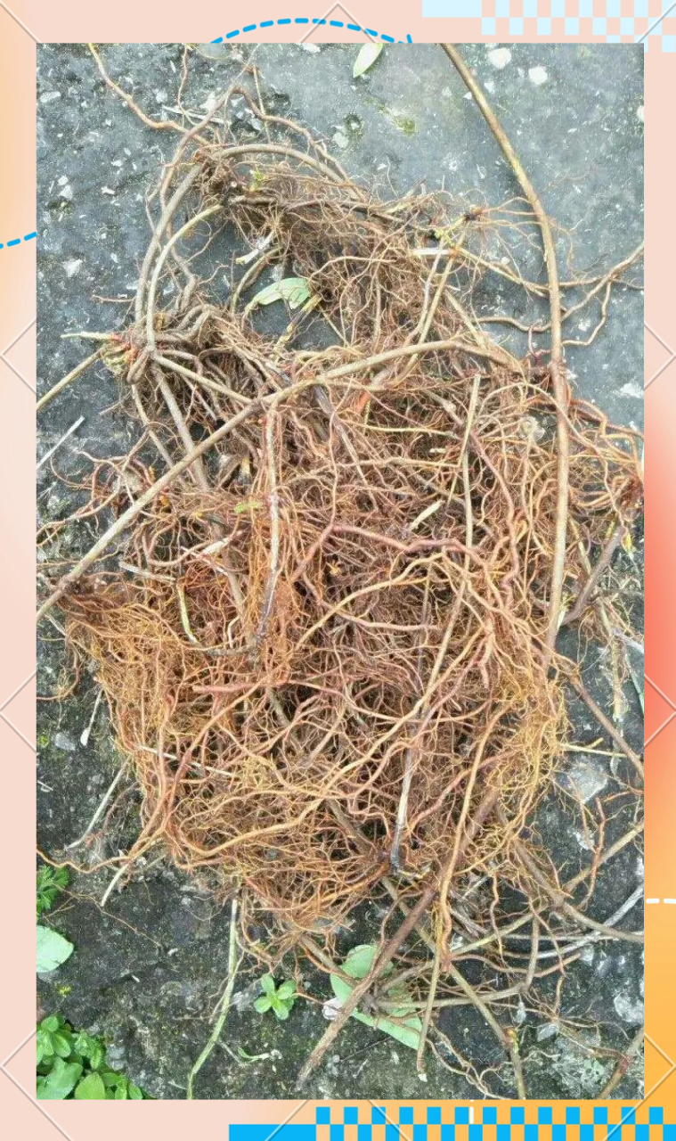 使用时的注意事项