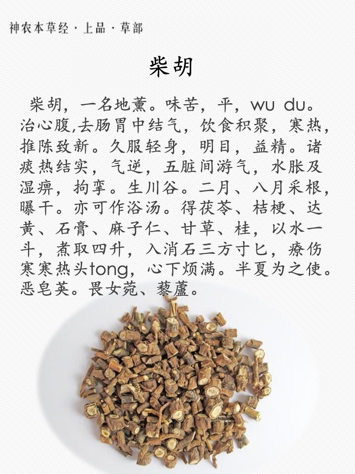 清热解毒,应对感冒与炎症