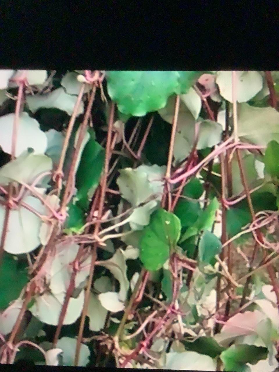 日常应用与使用方法