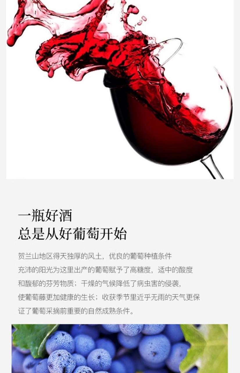 好酒,更要懂得喝