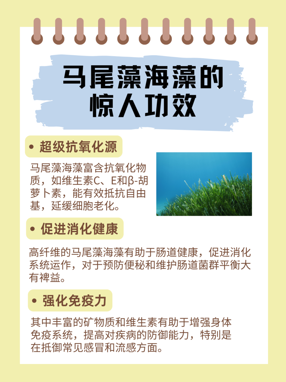 日常饮食中如何搭配海藻