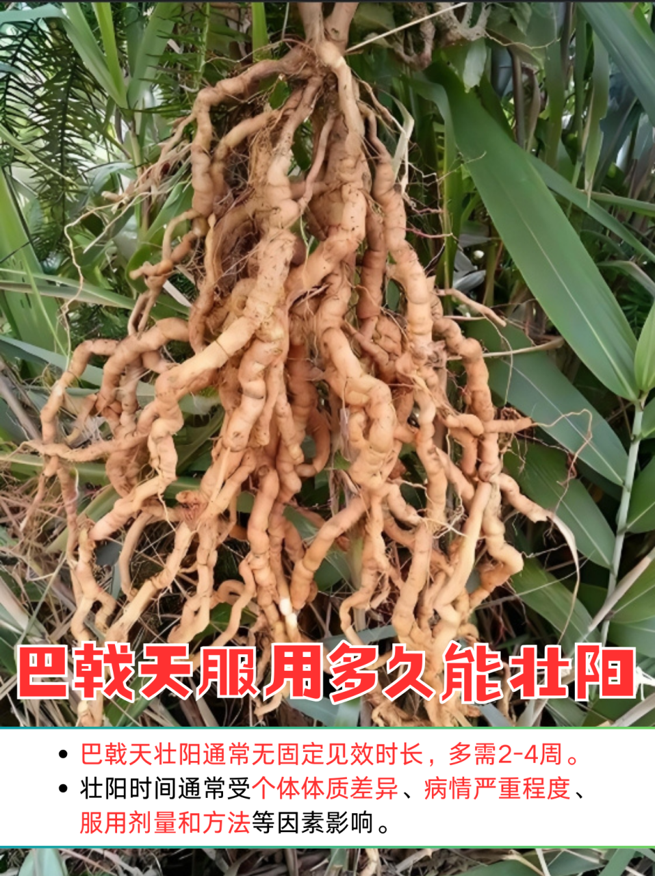 合理搭配,效果更佳