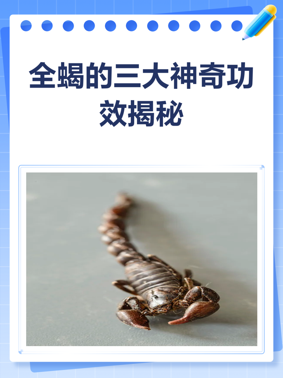 常见用途与应用方式