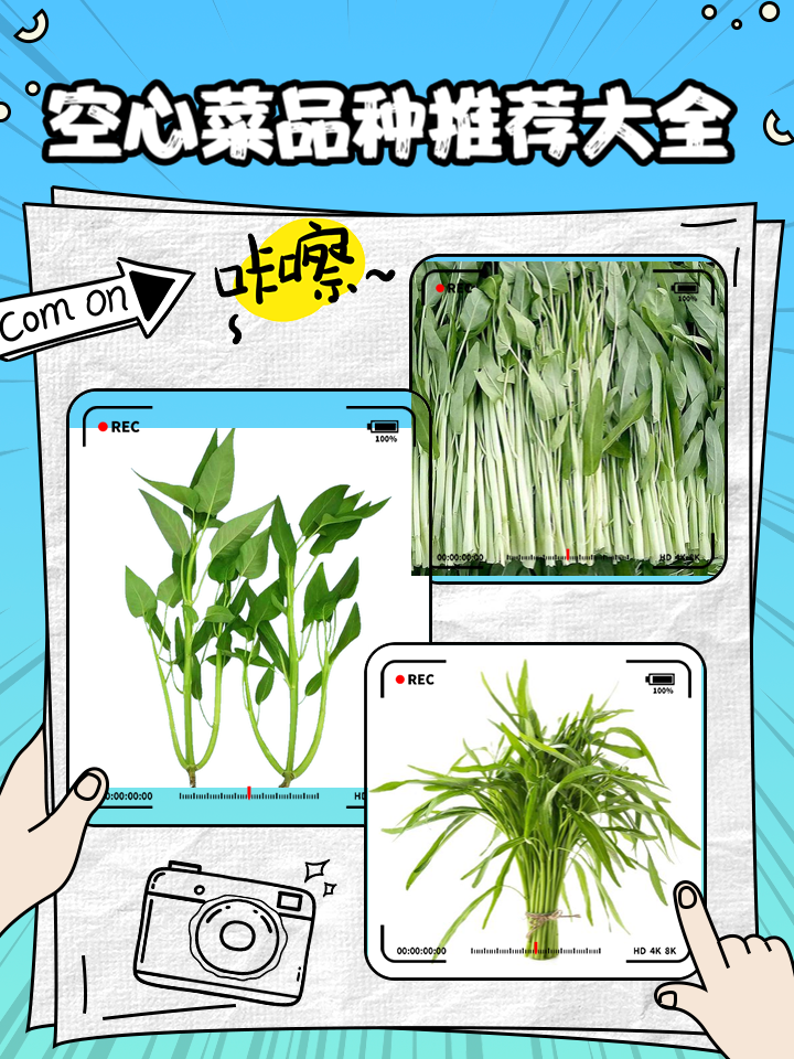 补充矿物质,增强免疫力