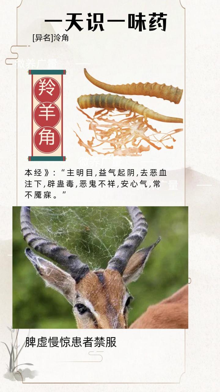 正确使用方法与注意事项