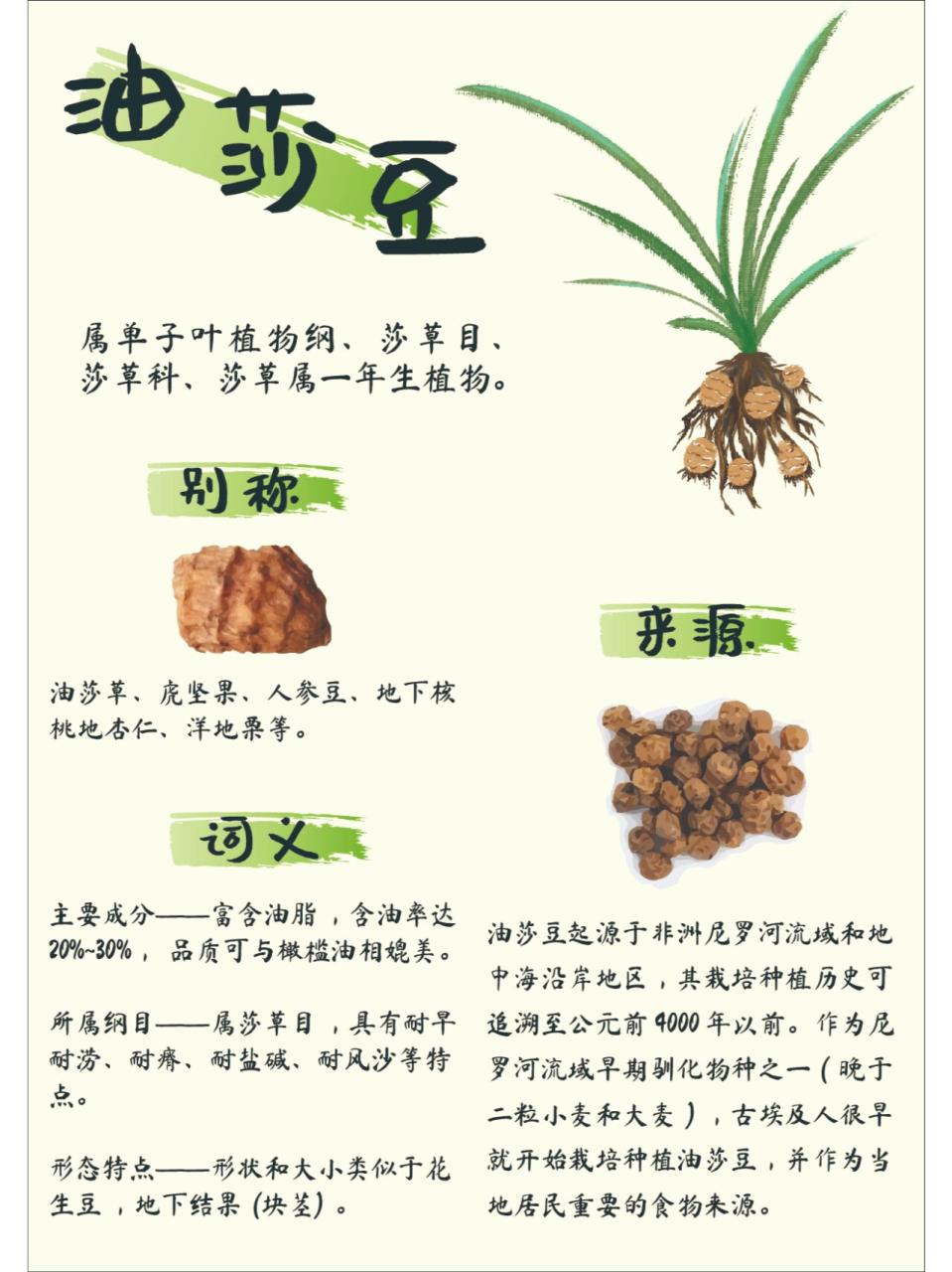 促进消化与排毒