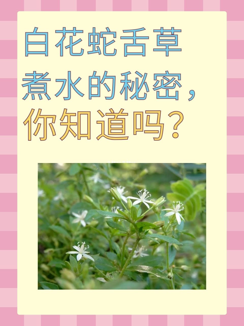 自然的力量不容忽视