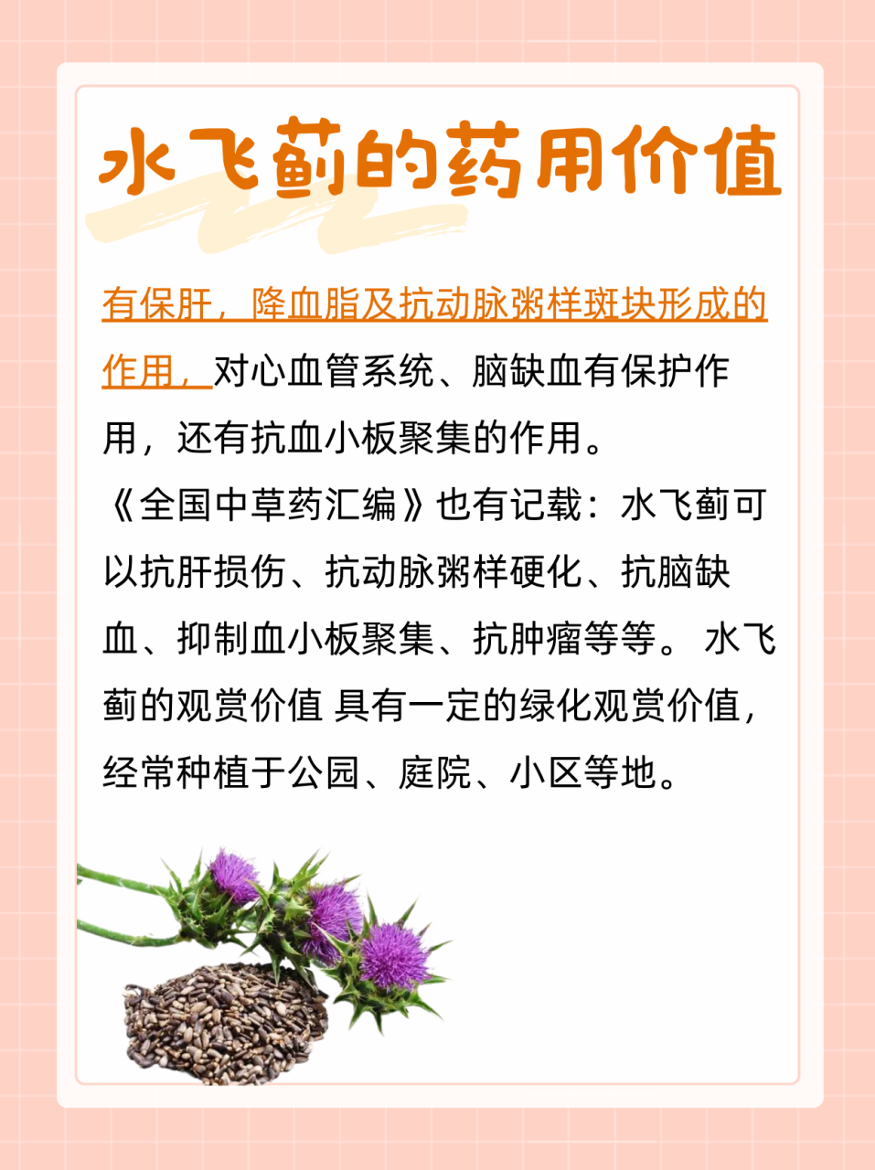 促进消化与代谢