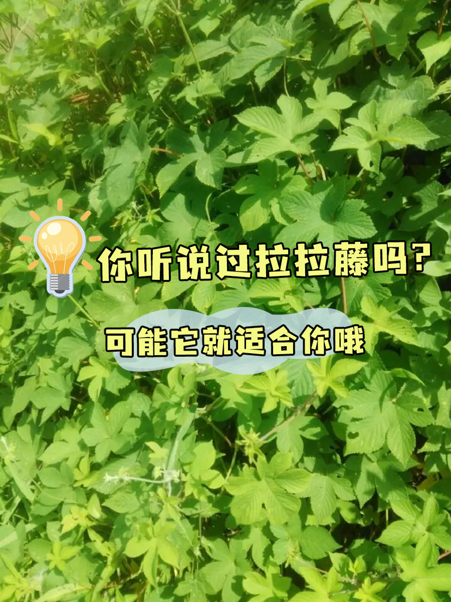 抗菌抗病毒,增强免疫力