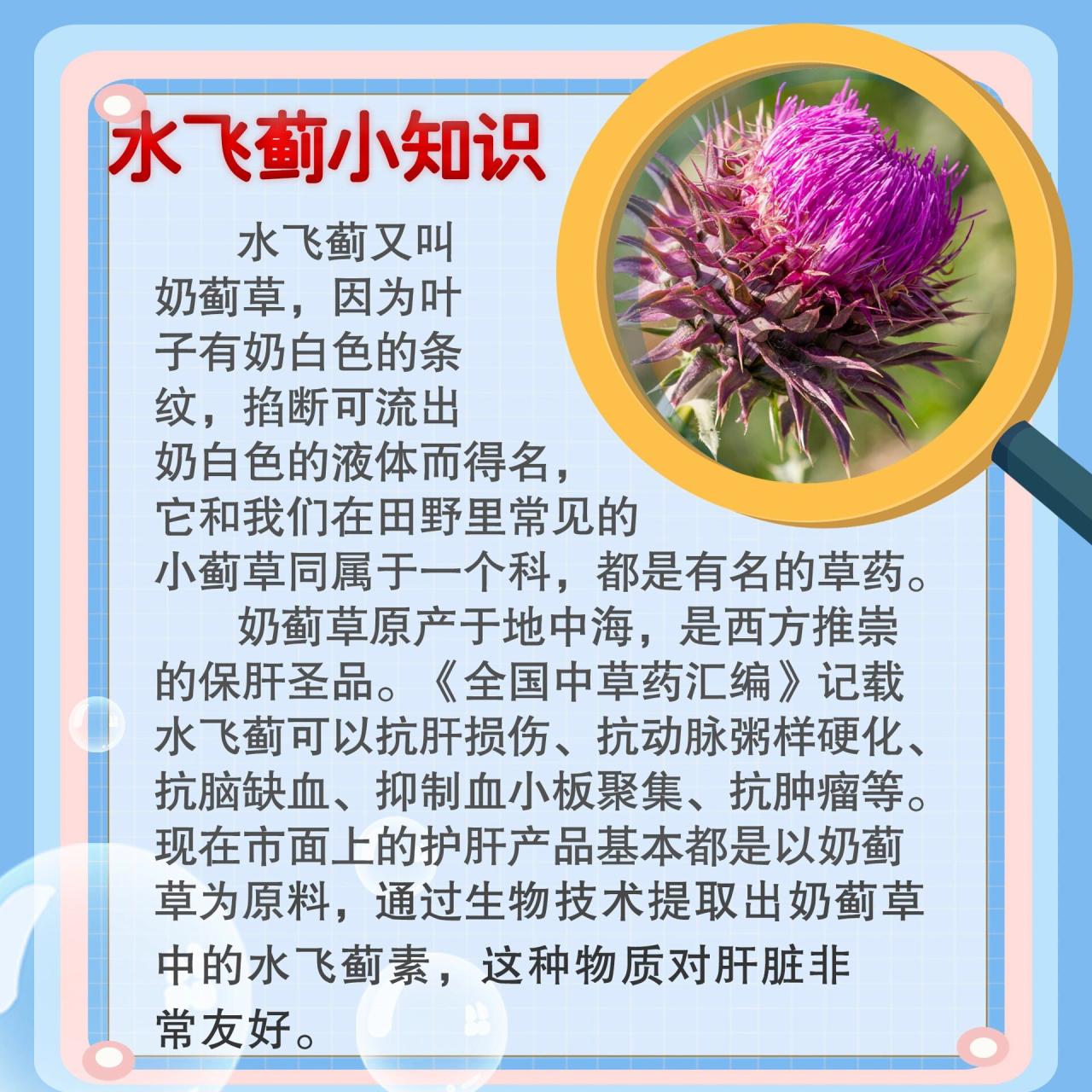 抗氧化与抗炎作用