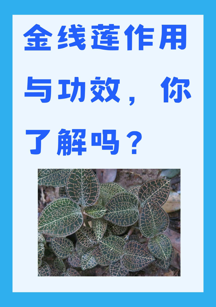 日常养生，轻松入手