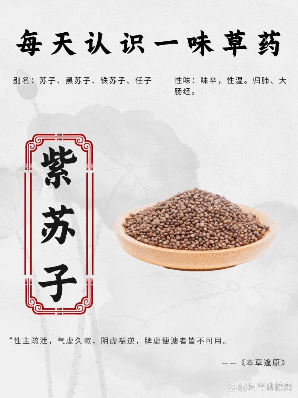 日常生活中的紫苏子妙用