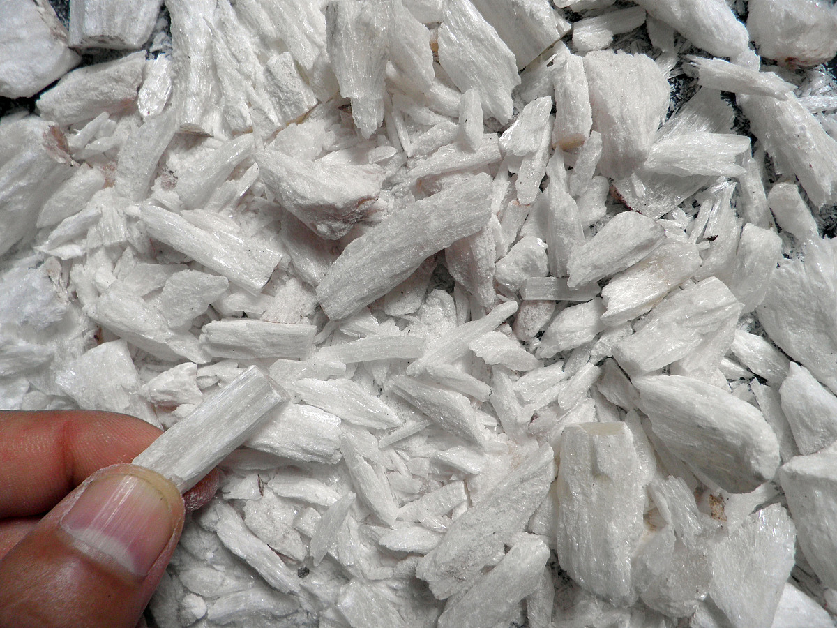 帮助消化,改善肠胃功能