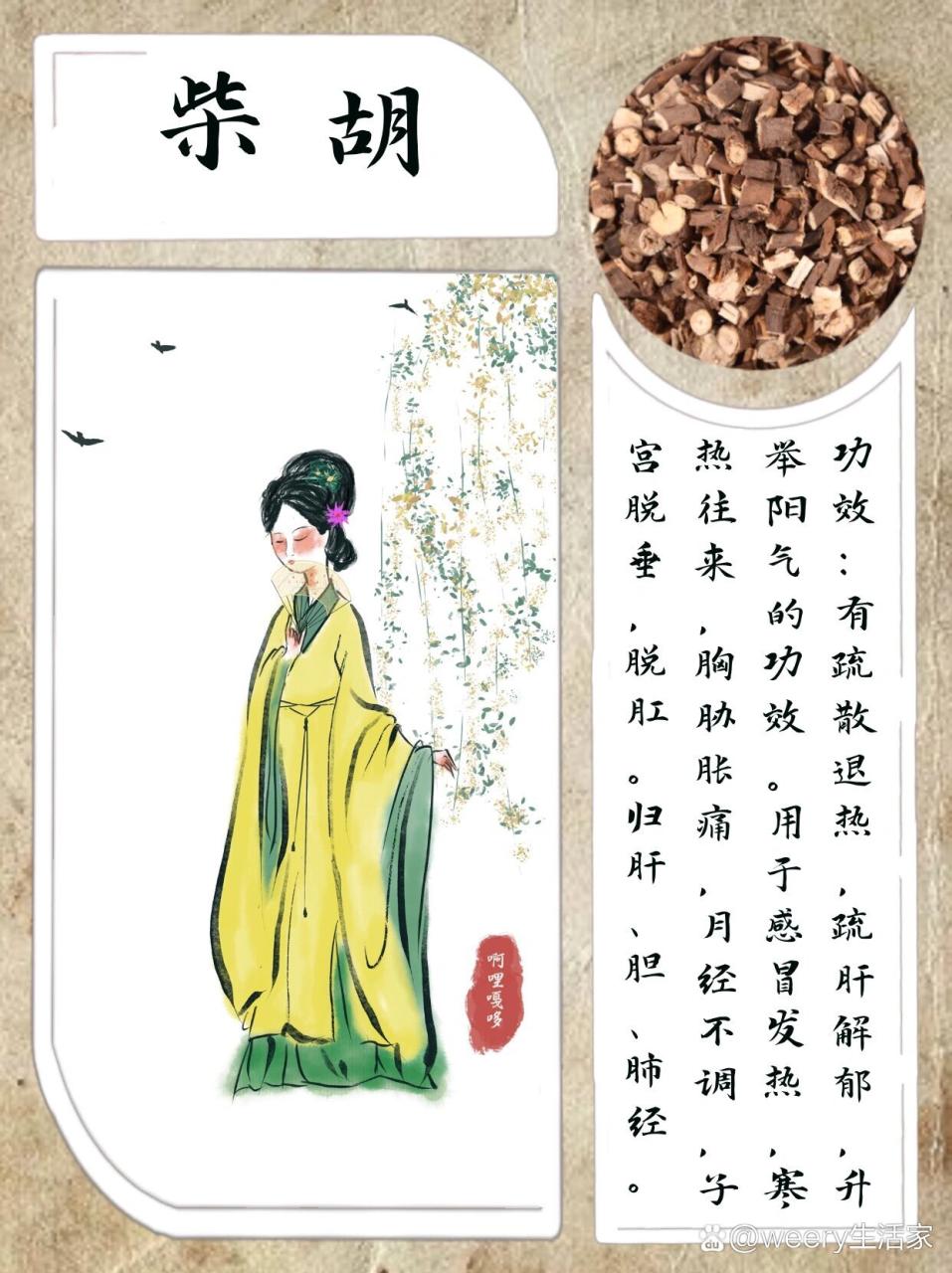 日常应用,从食疗到药膳