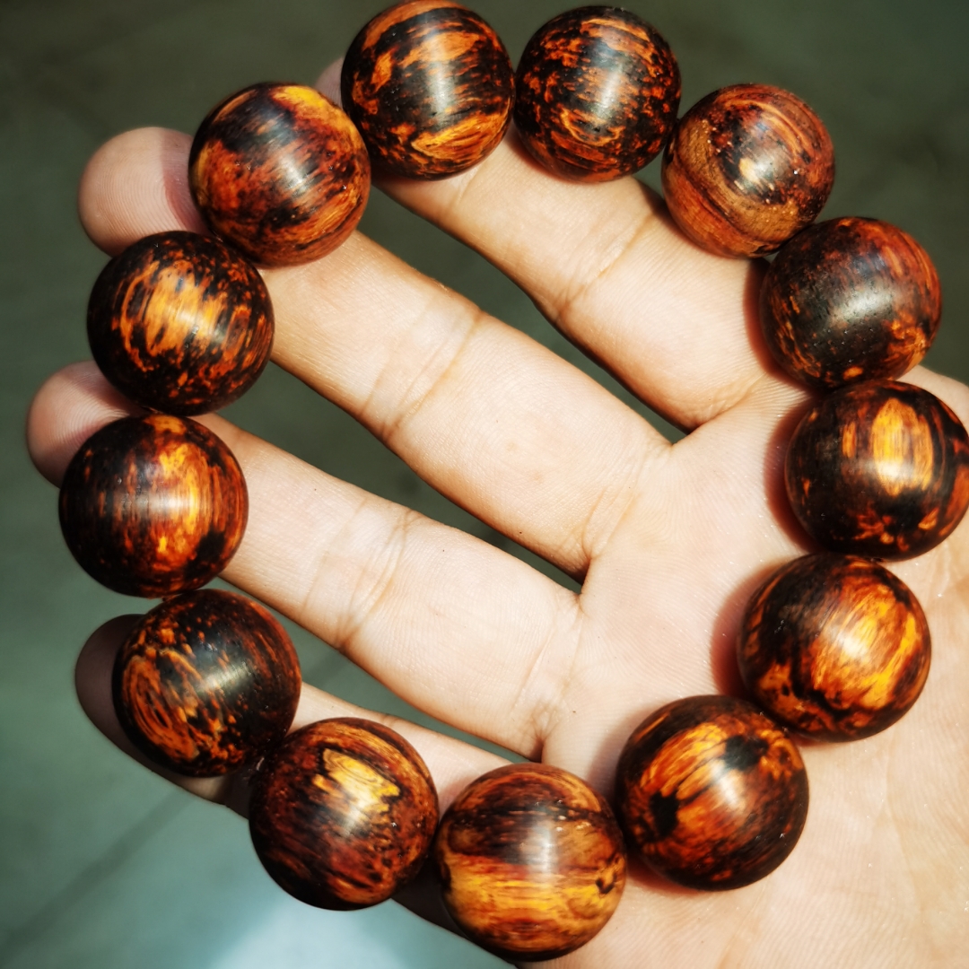 自然馈赠的智慧