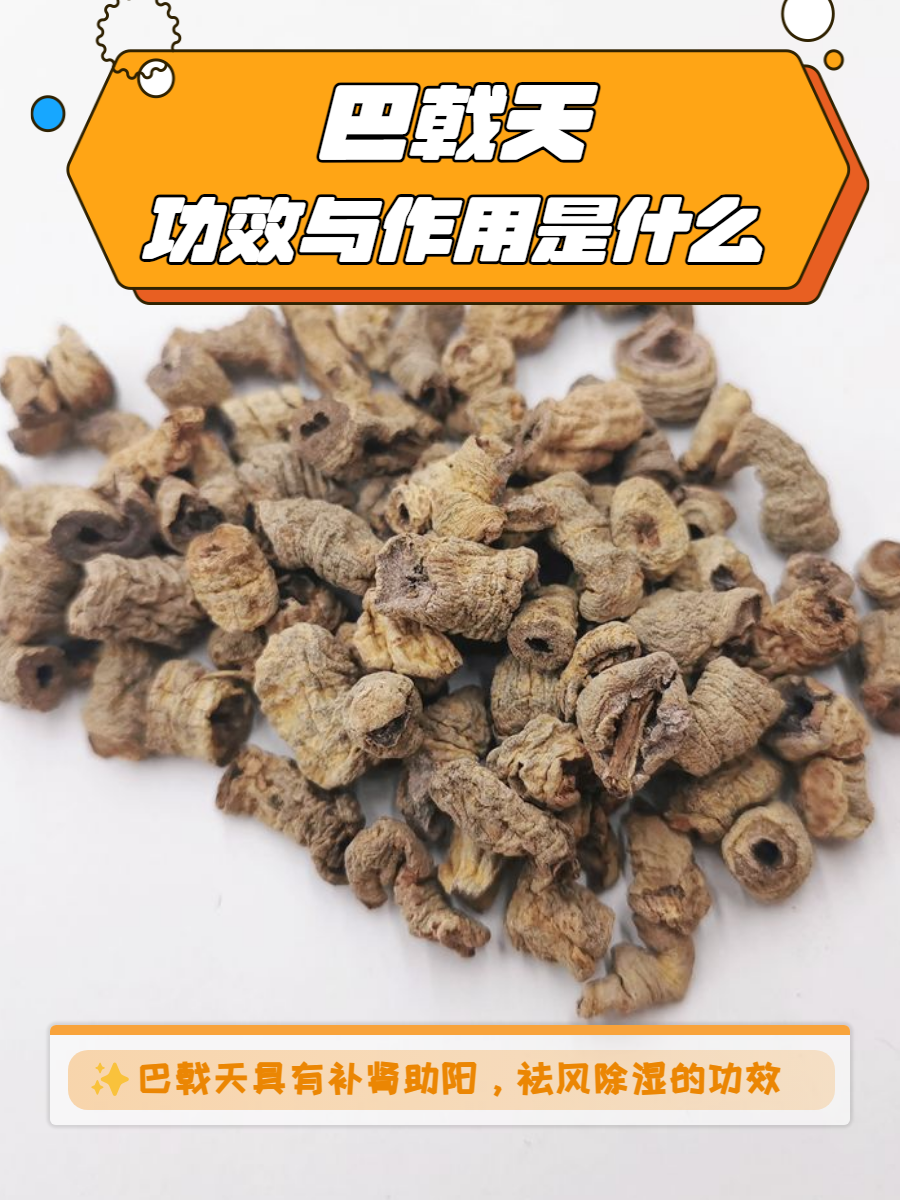 增强免疫力,延缓衰老