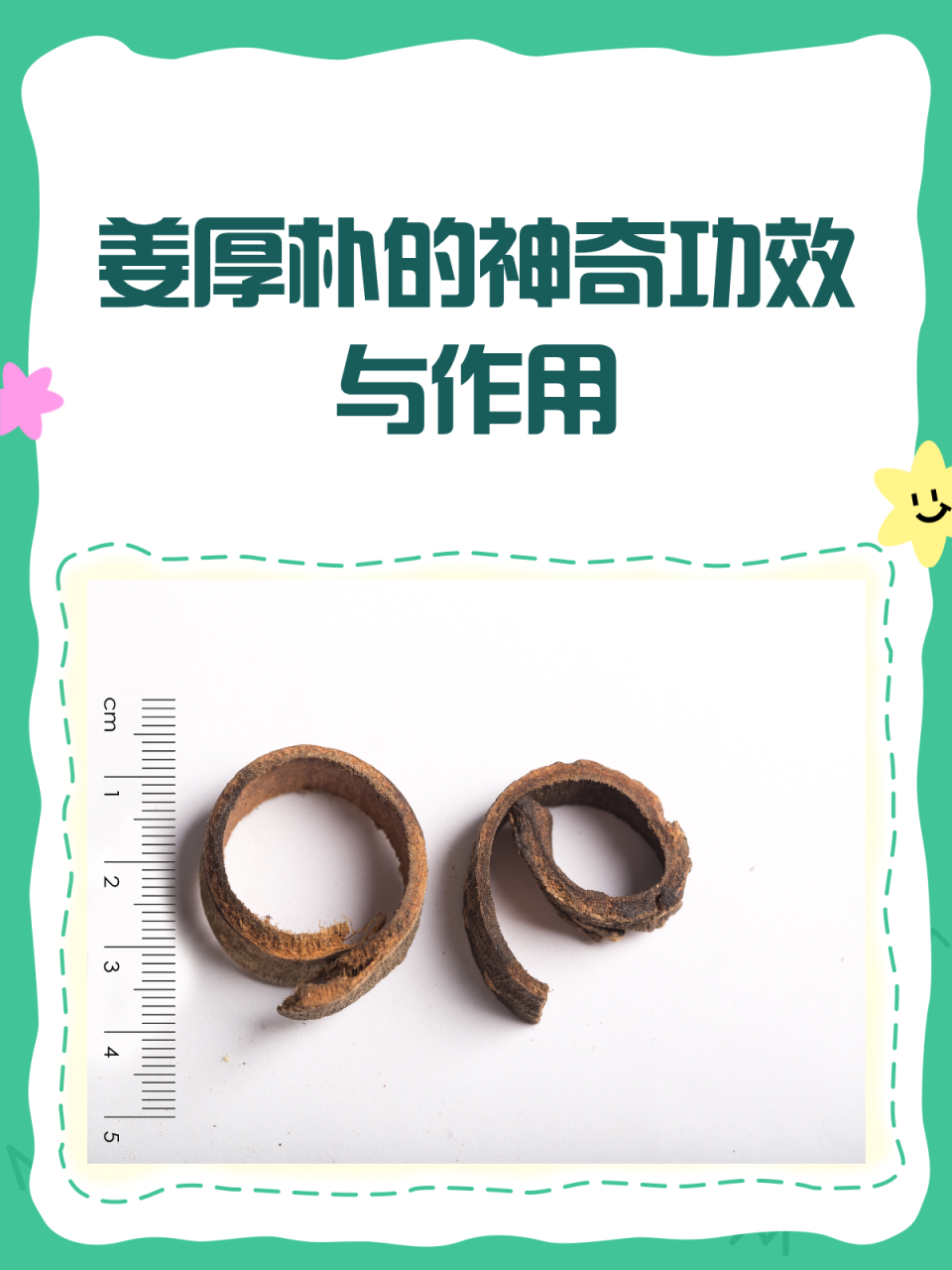 日常保健的小助手