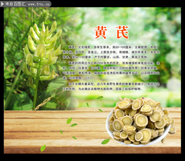 实际应用与搭配建议