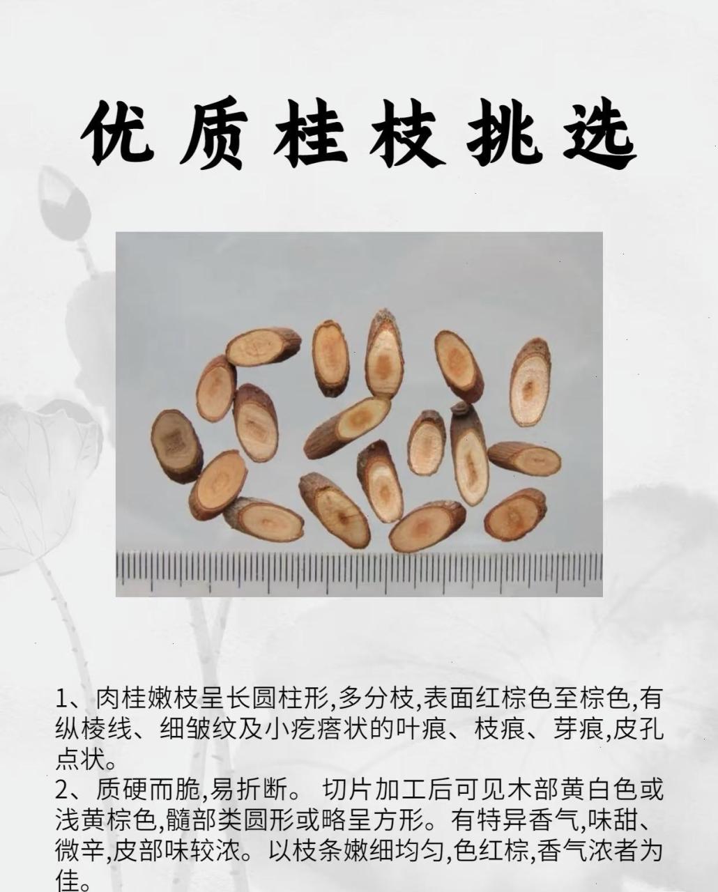 日常生活中的实用价值